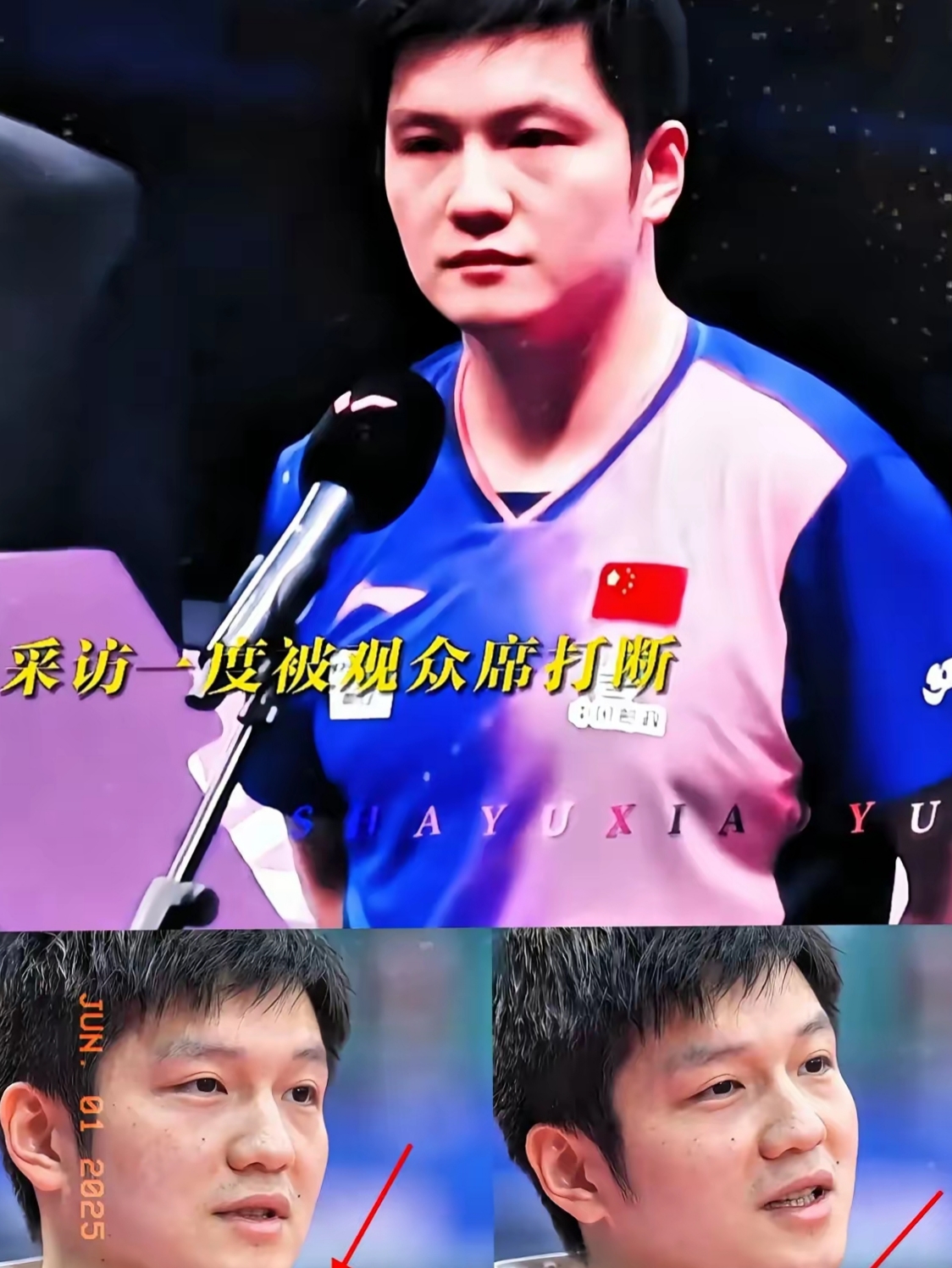 包含德国乒乓球队完胜波兰乒乓球队,樊振东惊艳世界的词条 包含德国乒乓球队完胜波兰乒乓球队,樊振东惊艳世界的词条