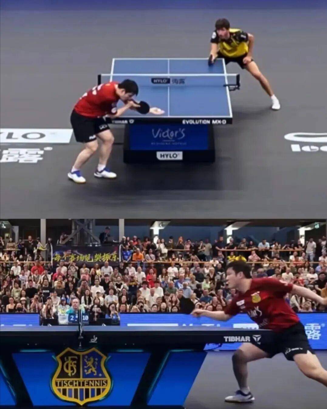 包含德国乒乓球队完胜波兰乒乓球队,樊振东惊艳世界的词条 包含德国乒乓球队完胜波兰乒乓球队,樊振东惊艳世界的词条