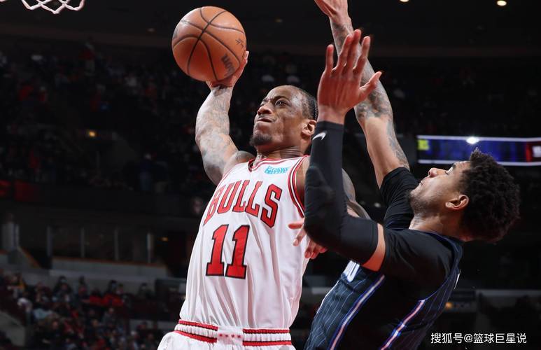 包含雄鹿客场击败猛龙，字母哥再次展现统治力的词条